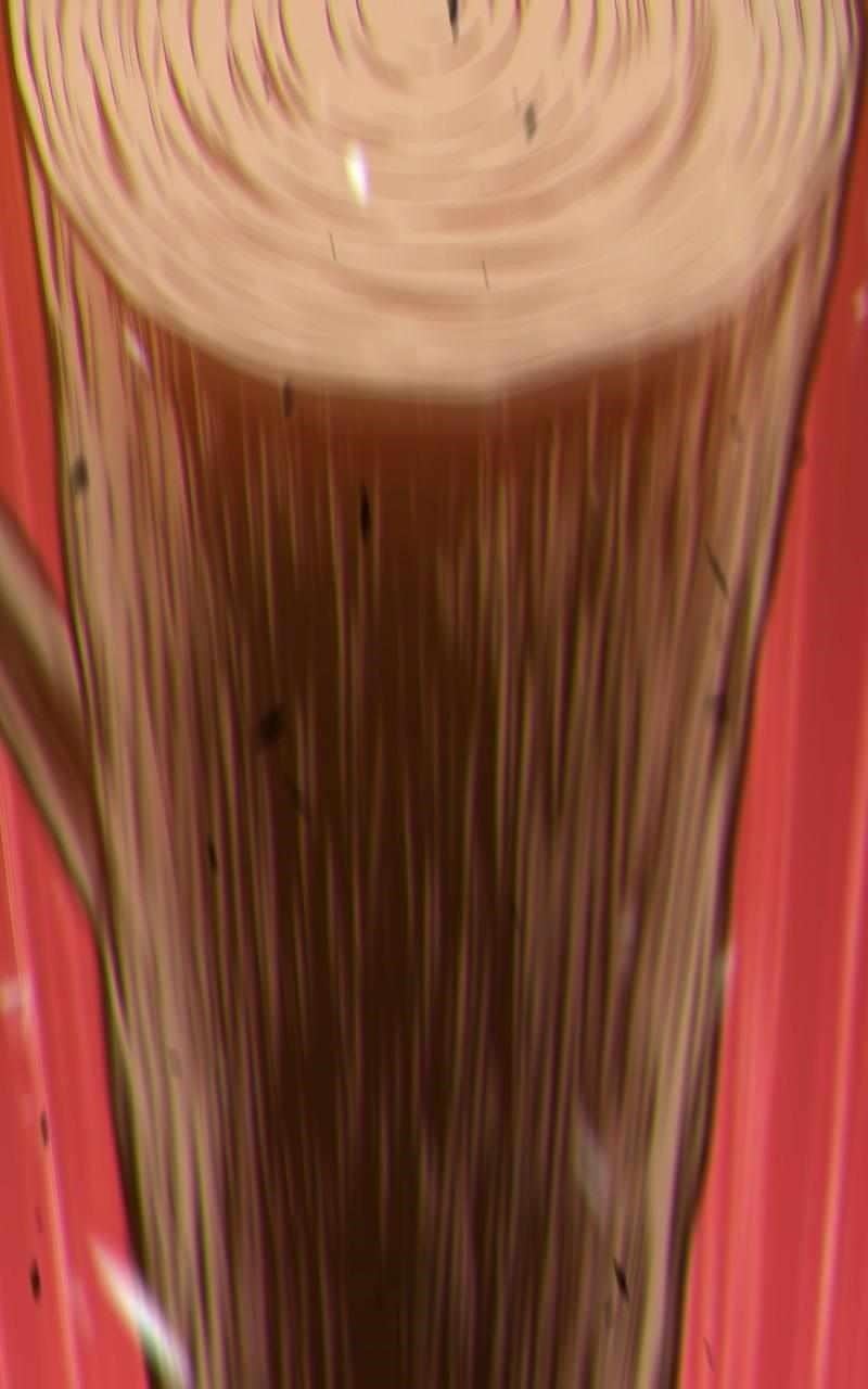 Read 99 Reinforced Wood Stick Manga Online