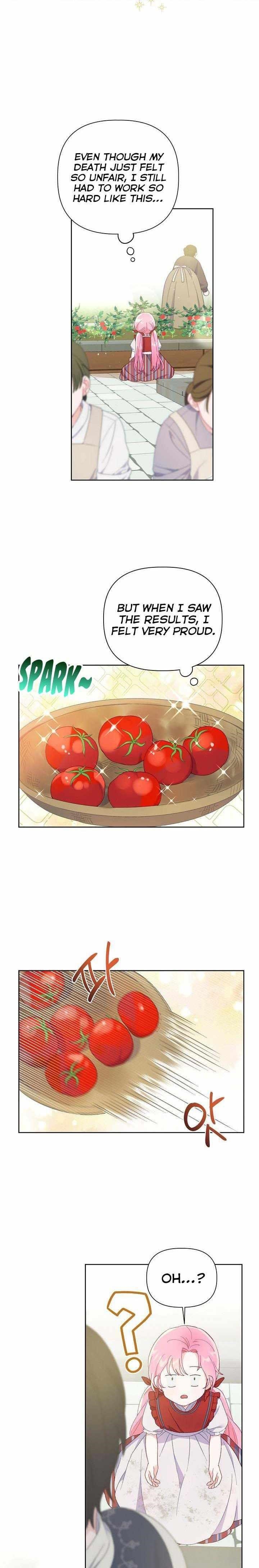 Read A Transmigrator’s Privilege Manga Online