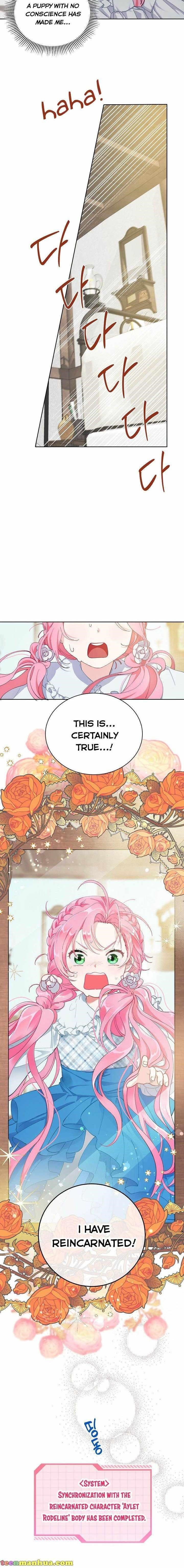 Read A Transmigrator’s Privilege Manga Online