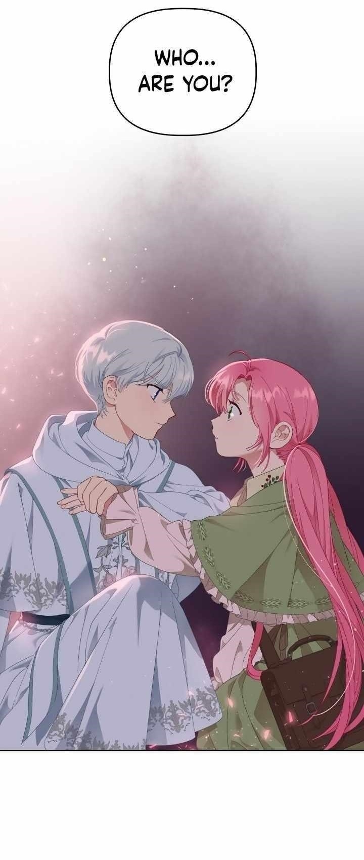 Read A Transmigrator’s Privilege Manga Online
