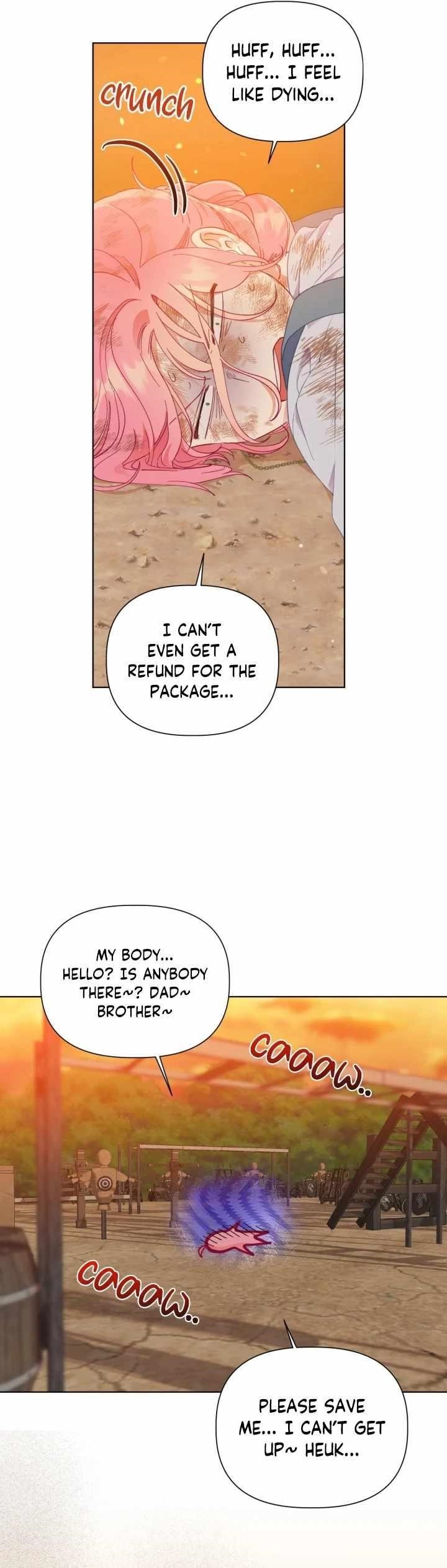 Read A Transmigrator’s Privilege Manga Online