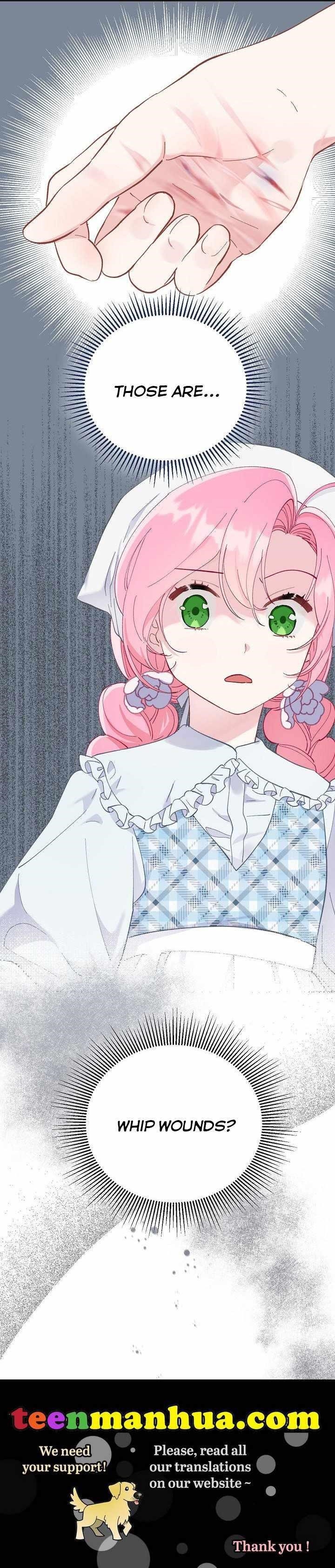 Read A Transmigrator’s Privilege Manga Online