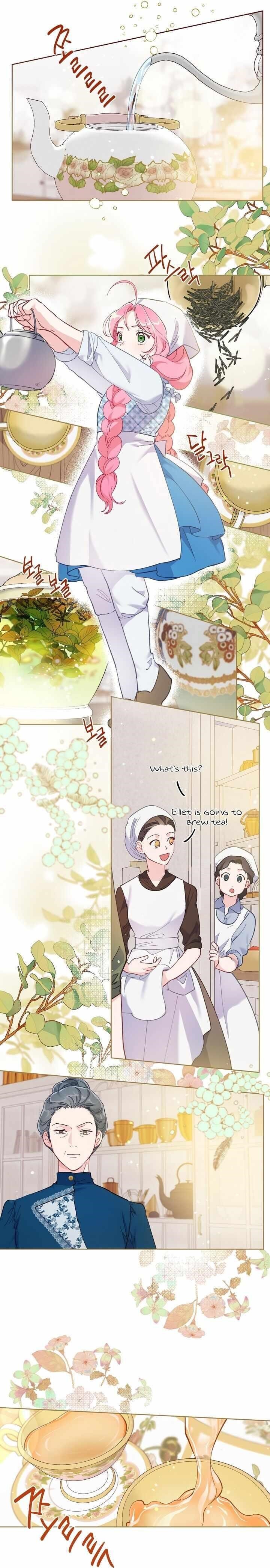 Read A Transmigrator’s Privilege Manga Online