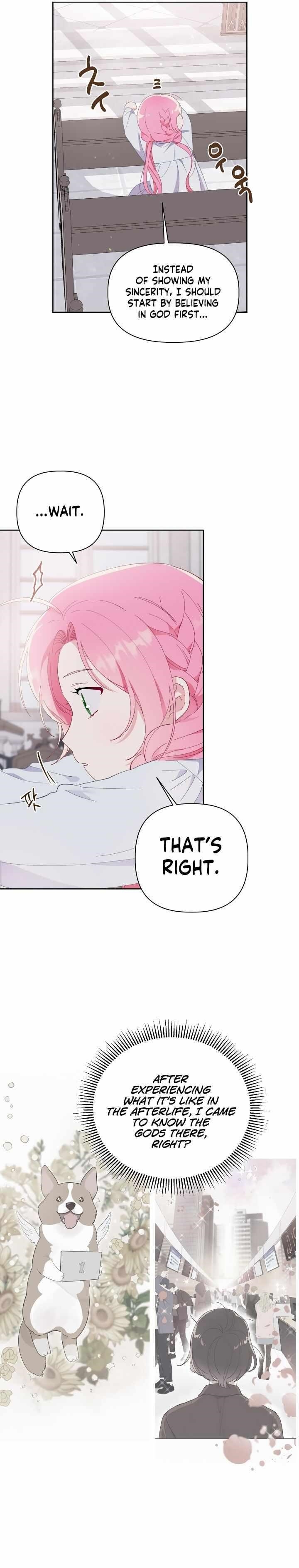 Read A Transmigrator’s Privilege Manga Online