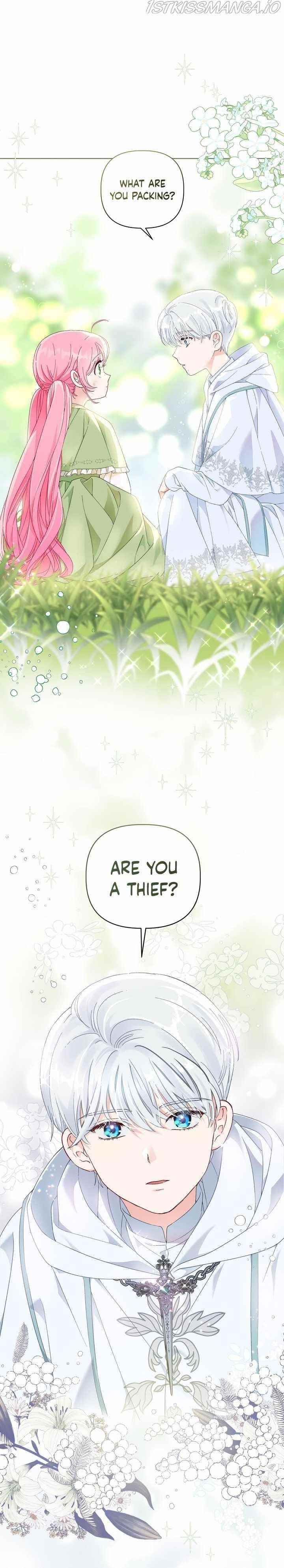 Read A Transmigrator’s Privilege Manga Online