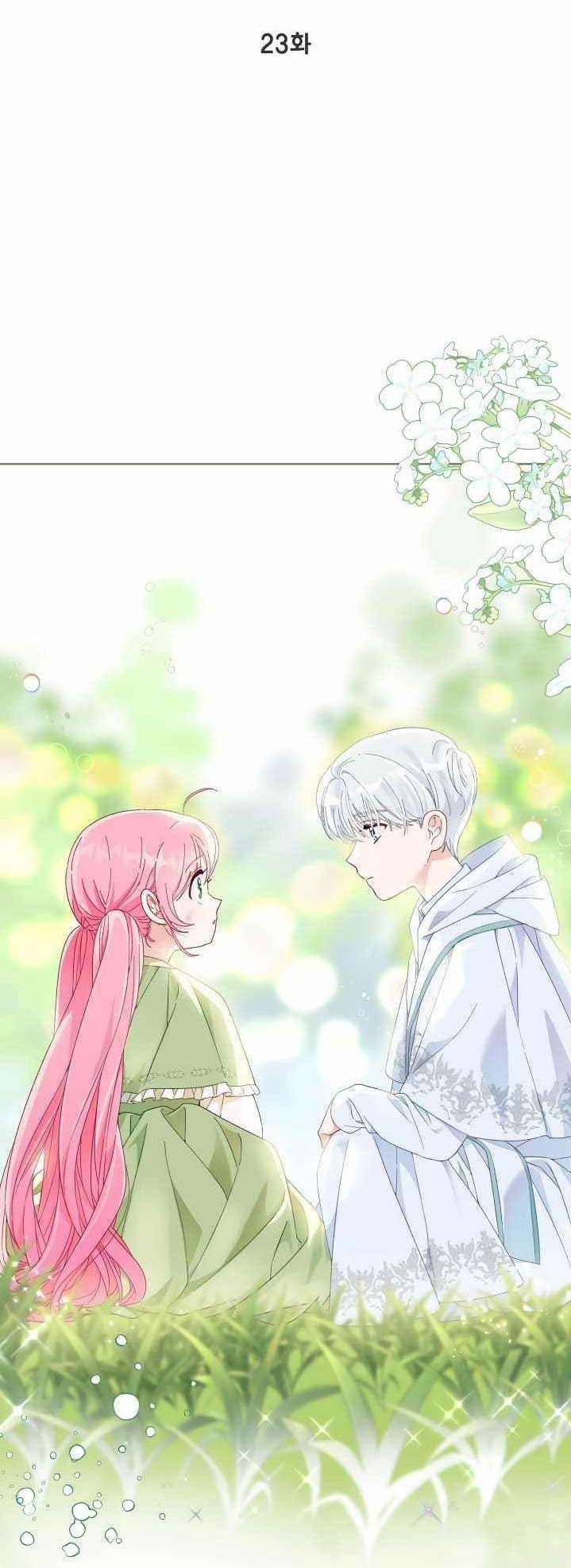 Read A Transmigrator’s Privilege Manga Online
