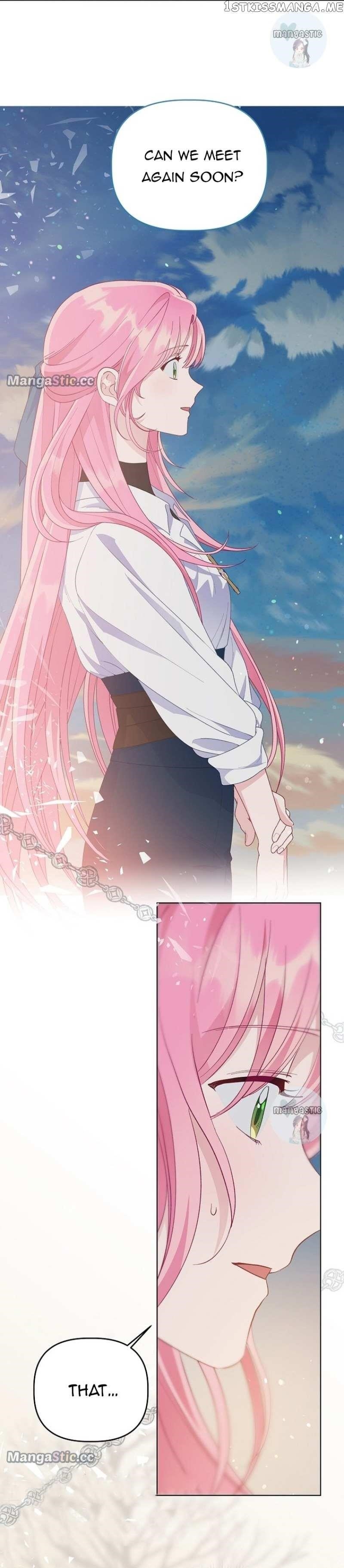 Read A Transmigrator’s Privilege Manga Online