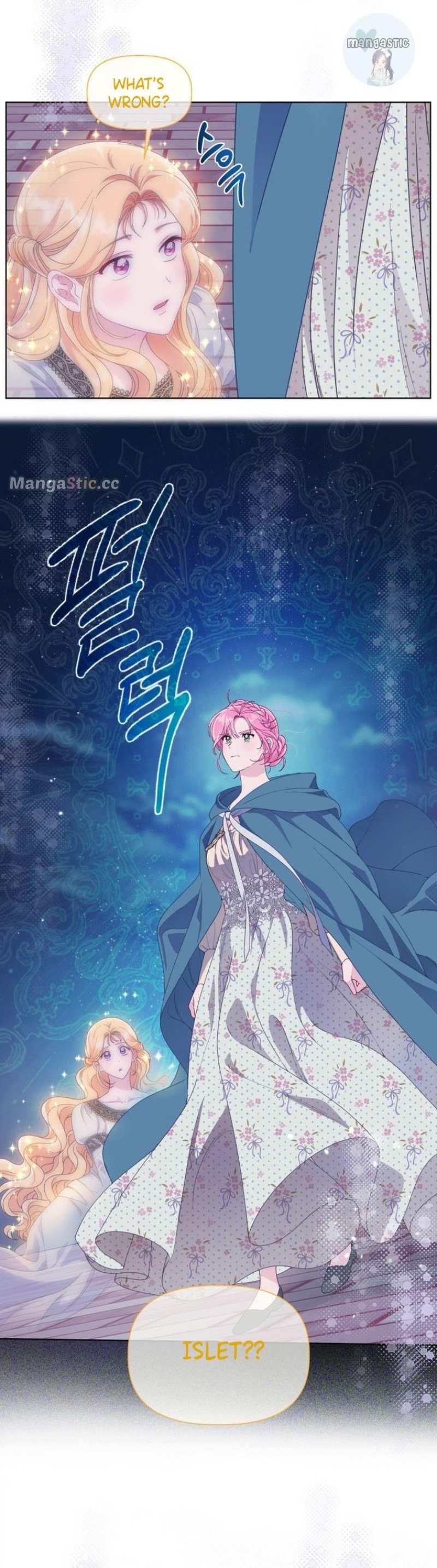 Read A Transmigrator’s Privilege Manga Online