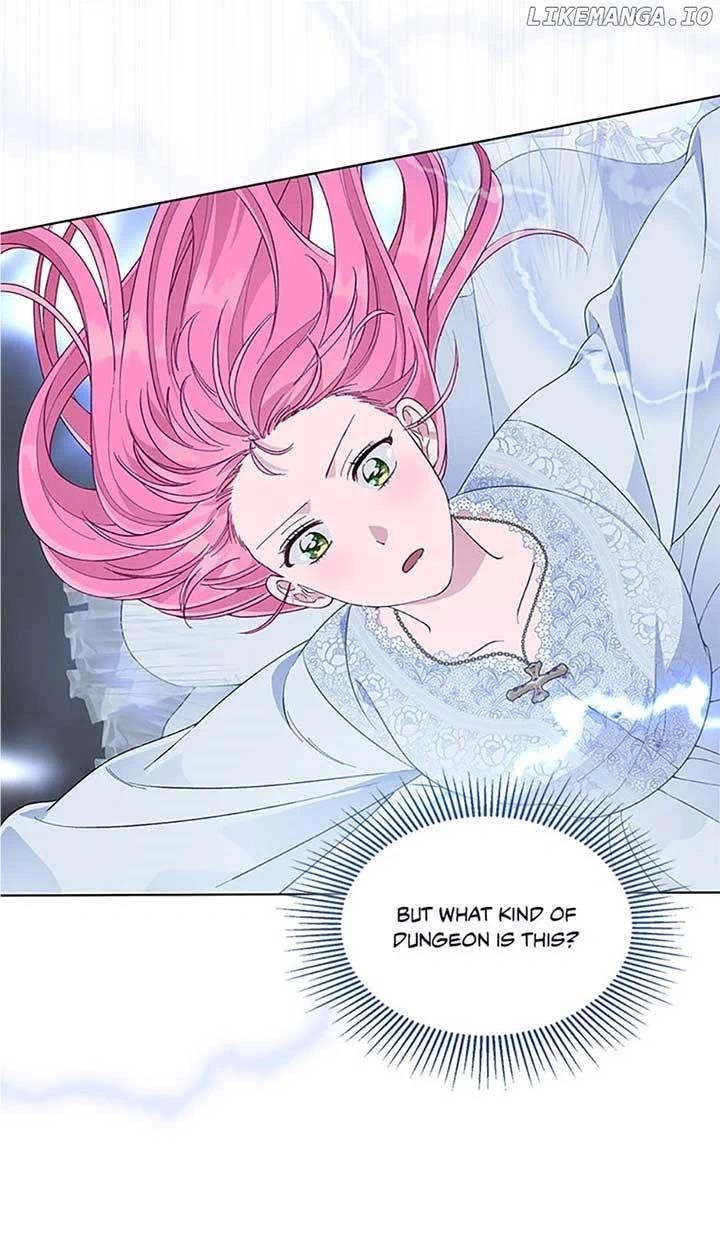 Read A Transmigrator’s Privilege Manga Online
