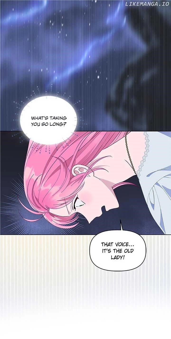 Read A Transmigrator’s Privilege Manga Online