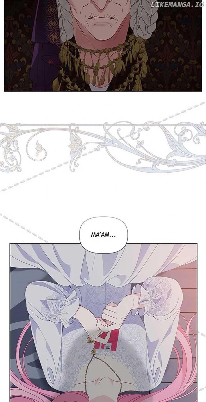 Read A Transmigrator’s Privilege Manga Online