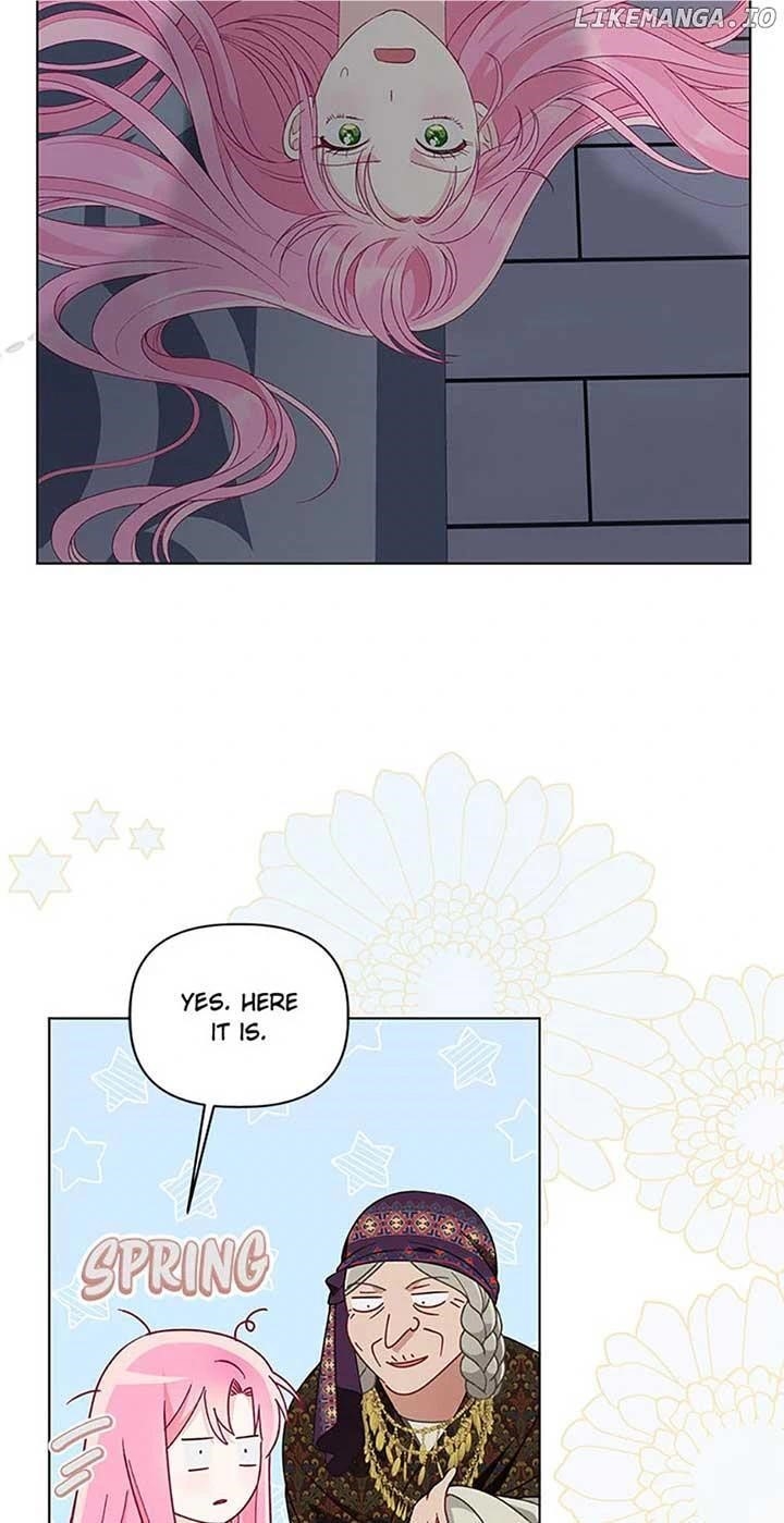 Read A Transmigrator’s Privilege Manga Online