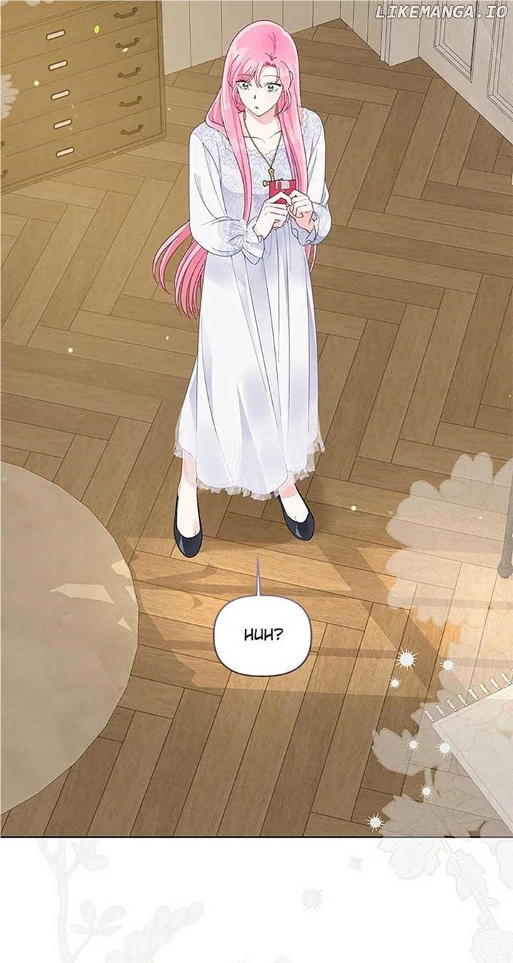 Read A Transmigrator’s Privilege Manga Online