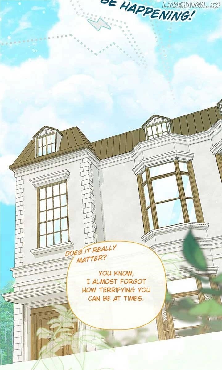 Read A Transmigrator’s Privilege Manga Online