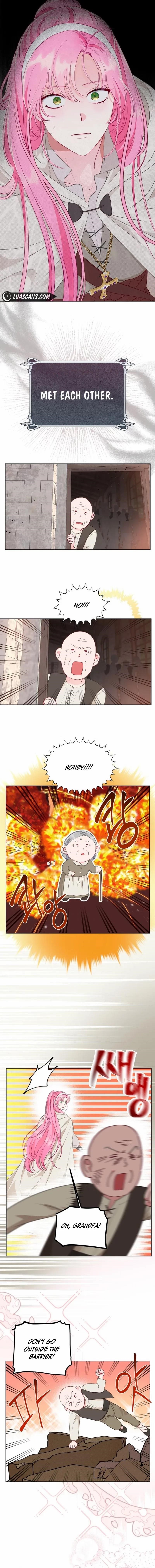 Read A Transmigrator’s Privilege Manga Online