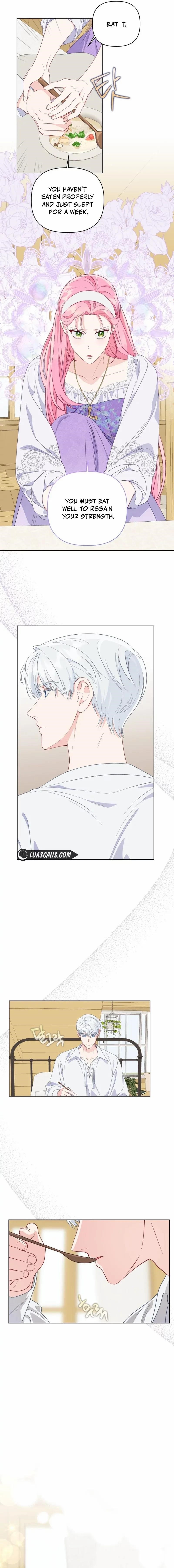 Read A Transmigrator’s Privilege Manga Online