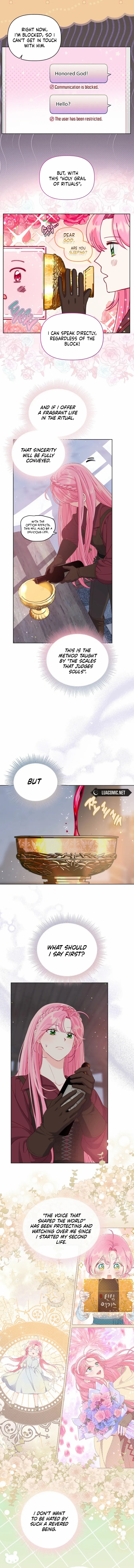 Read A Transmigrator’s Privilege Manga Online