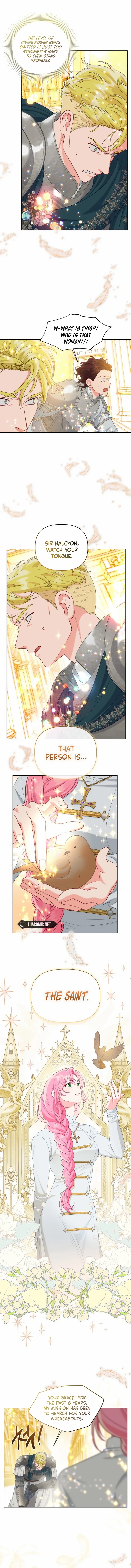 Read A Transmigrator’s Privilege Manga Online