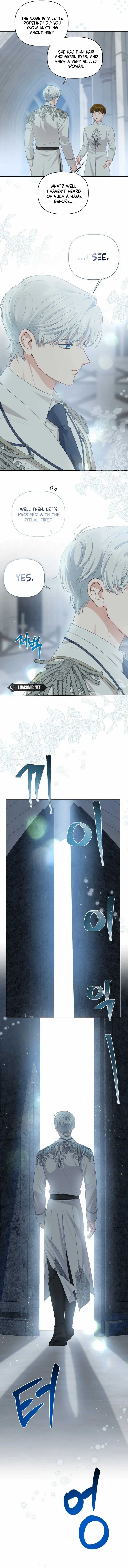 Read A Transmigrator’s Privilege Manga Online