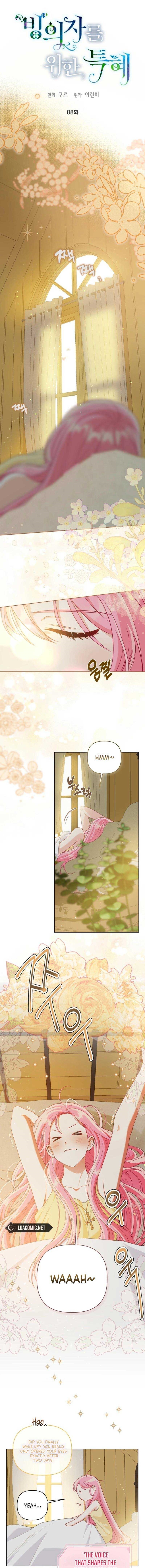 Read A Transmigrator’s Privilege Manga Online