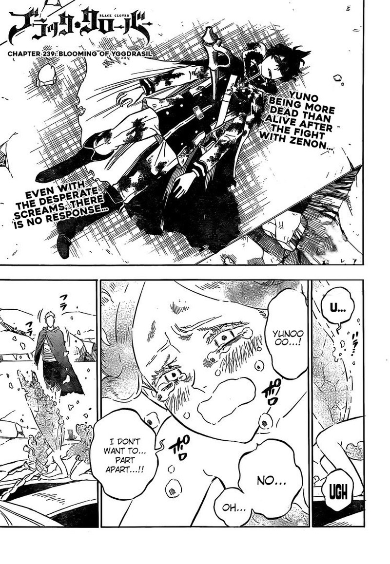 Read BLACK CLOVER Manga Online