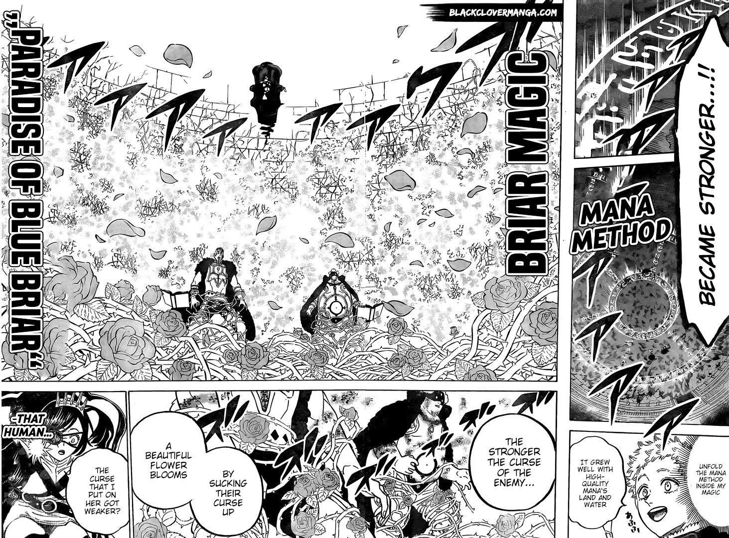 Read BLACK CLOVER Manga Online