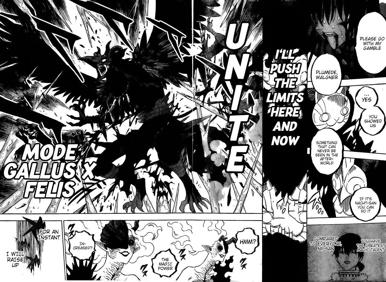 Read BLACK CLOVER Manga Online