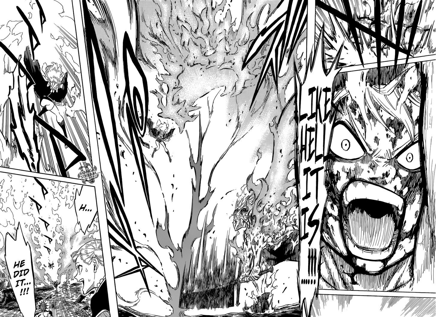 Read BLACK CLOVER Manga Online