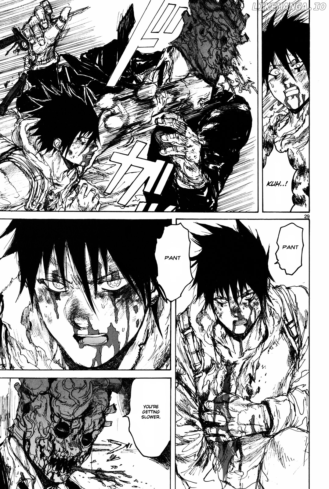 Read Dorohedoro Manga Online