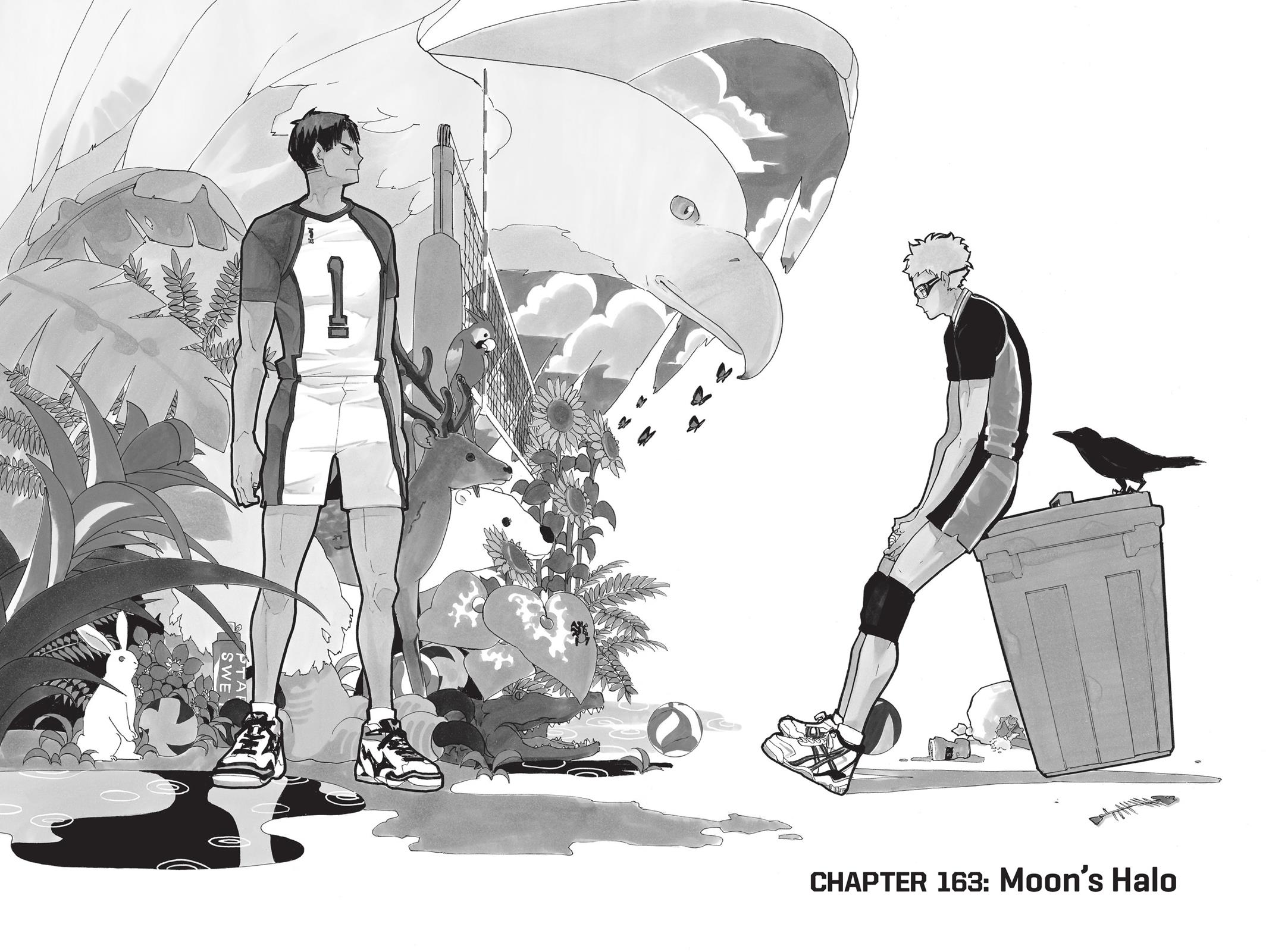 Read Haikyu Manga Online