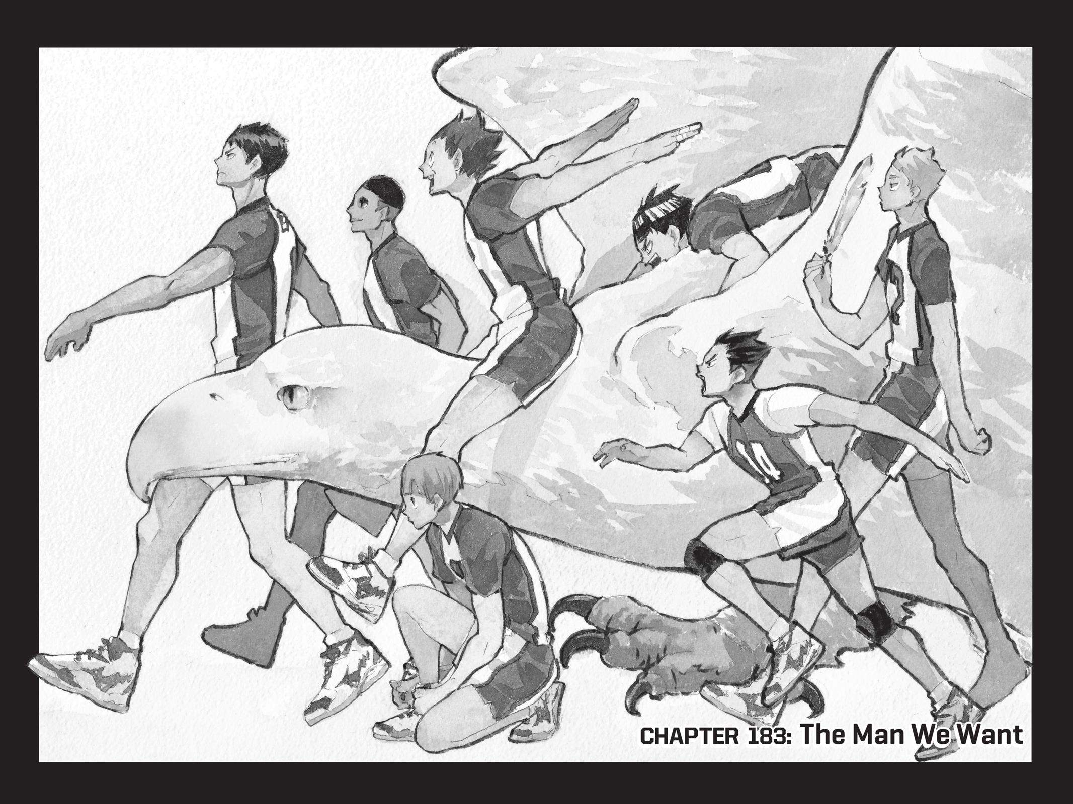 Read Haikyu Manga Online