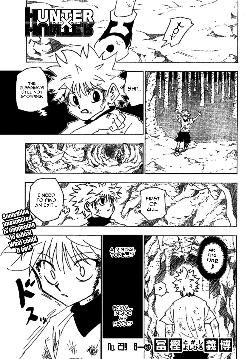 Read Hunter x Hunter Manga Online