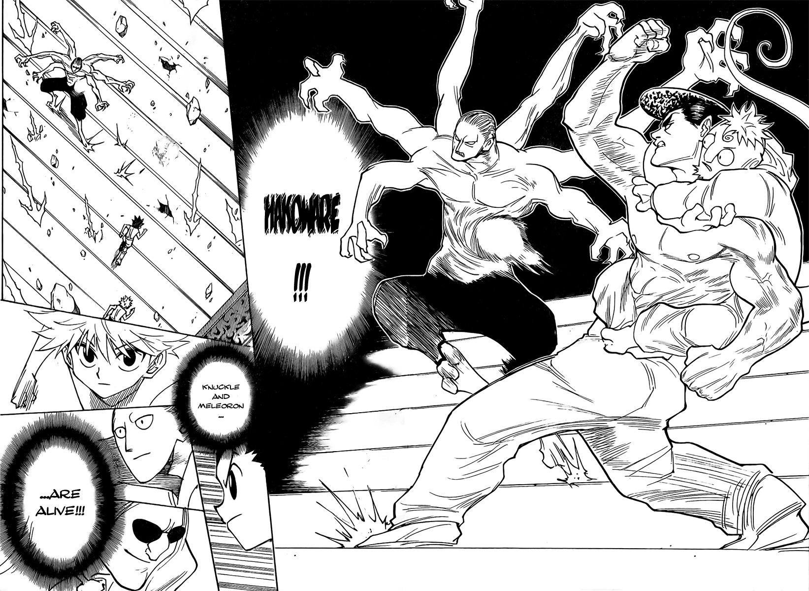 Read Hunter x Hunter Manga Online