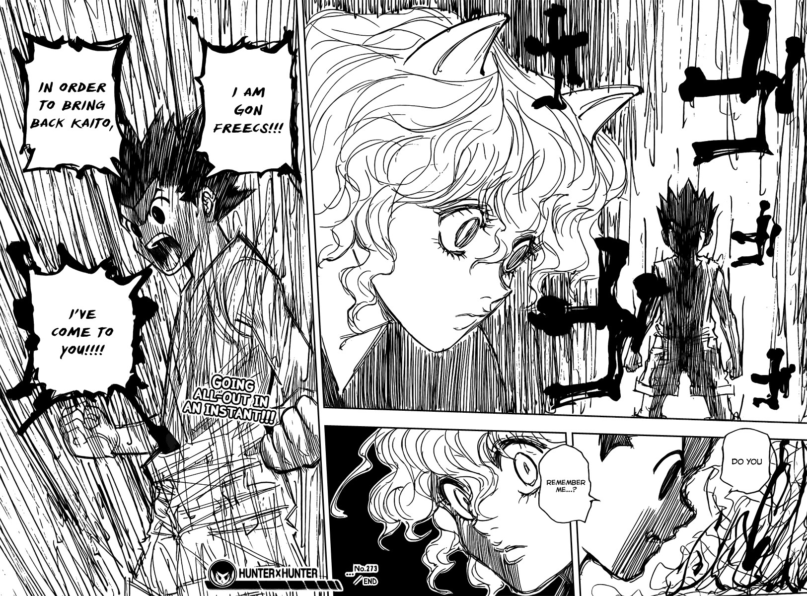 Read Hunter x Hunter Manga Online