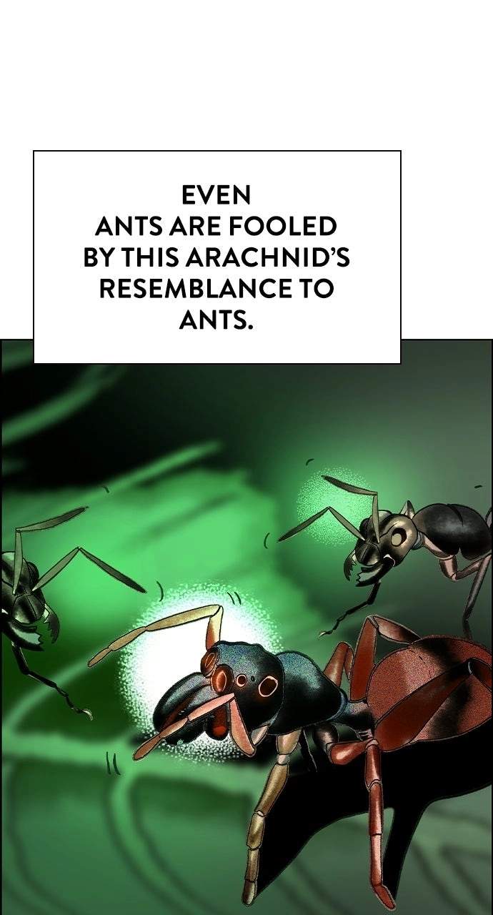Read Jungle Juice Manga Online