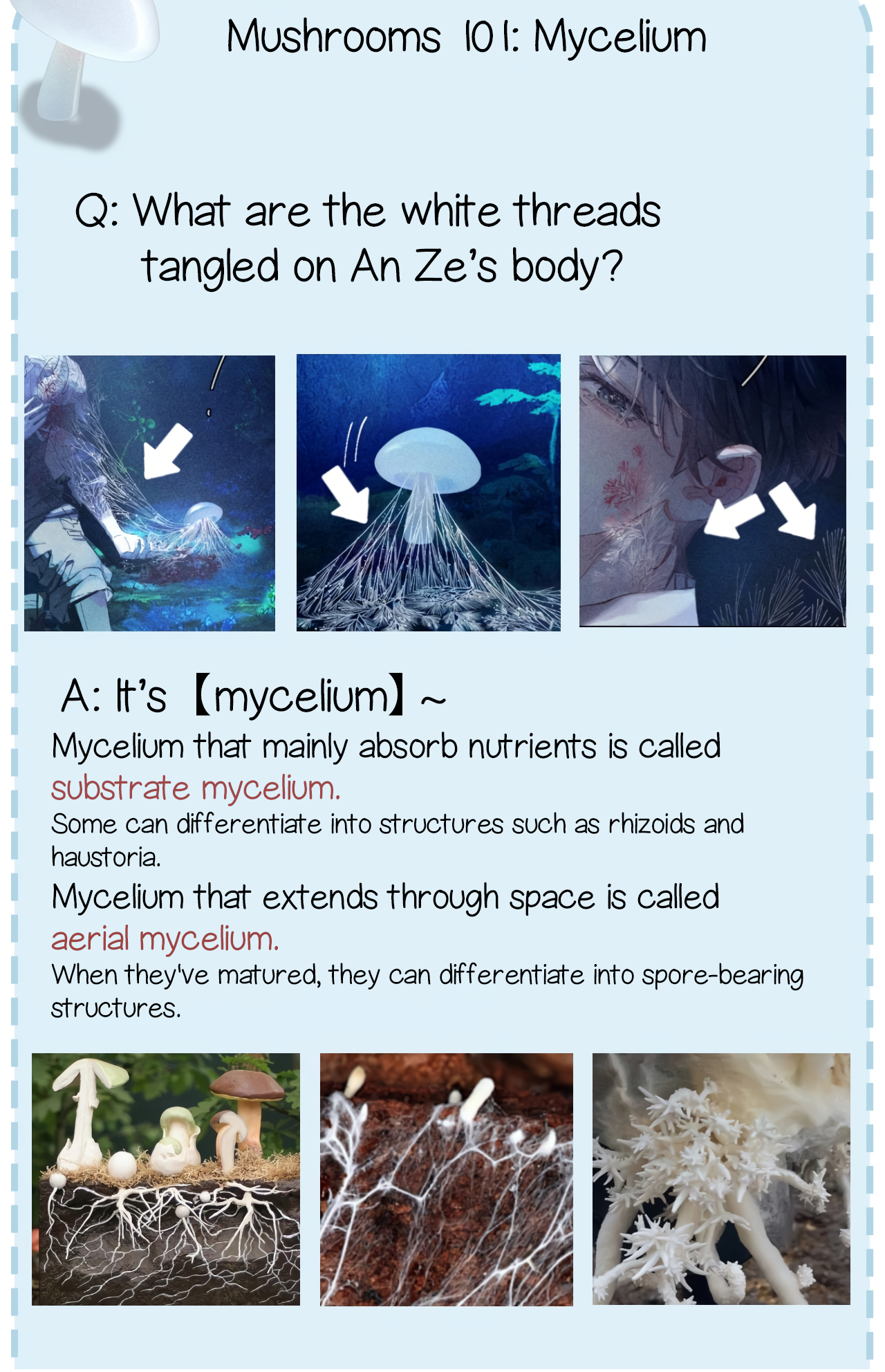 Read Little Mushroom Manga Online