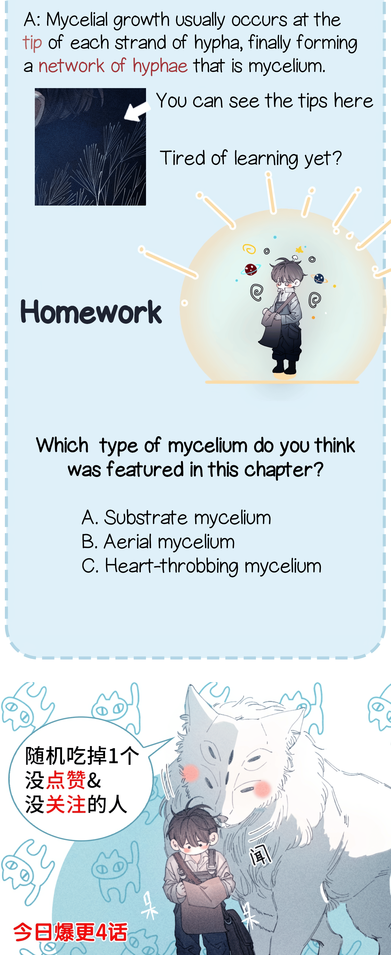 Read Little Mushroom Manga Online