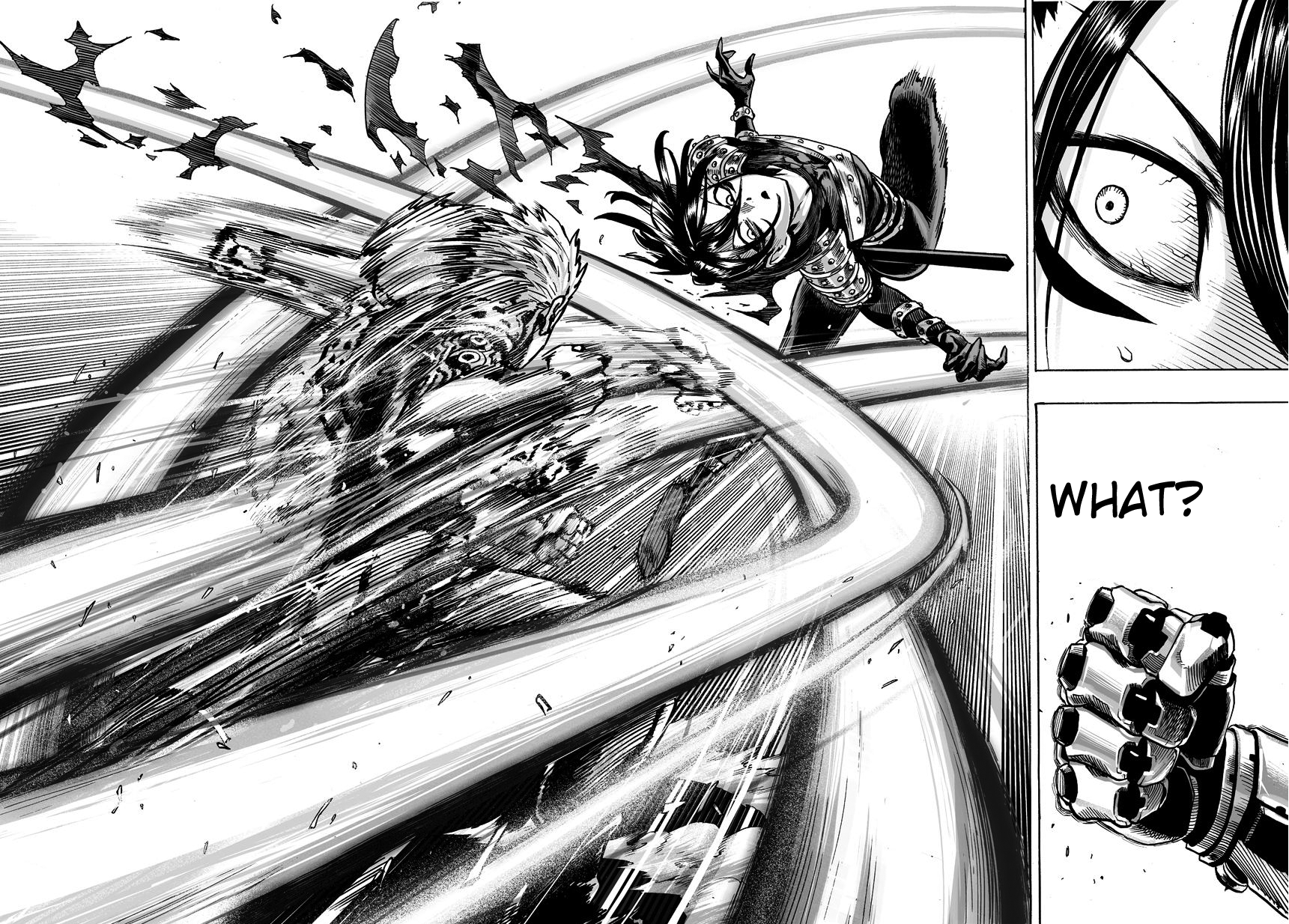 Read Onepunch-Man Manga Online