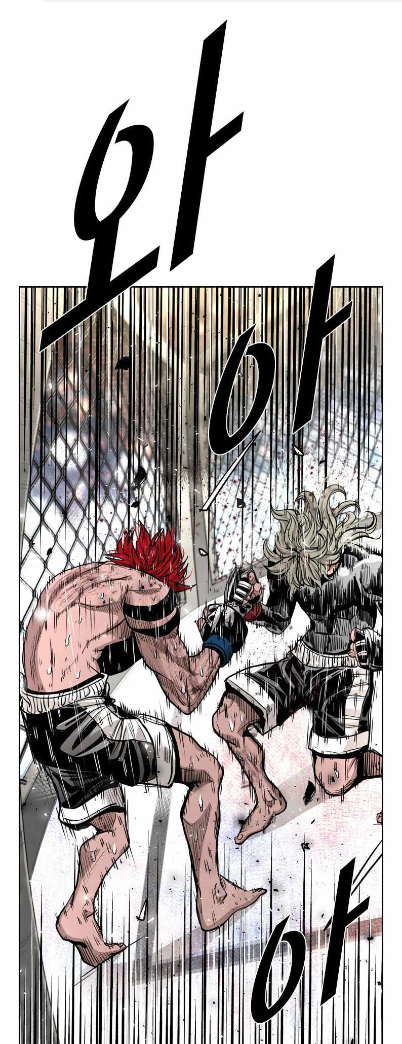 Read Shark Manga Online