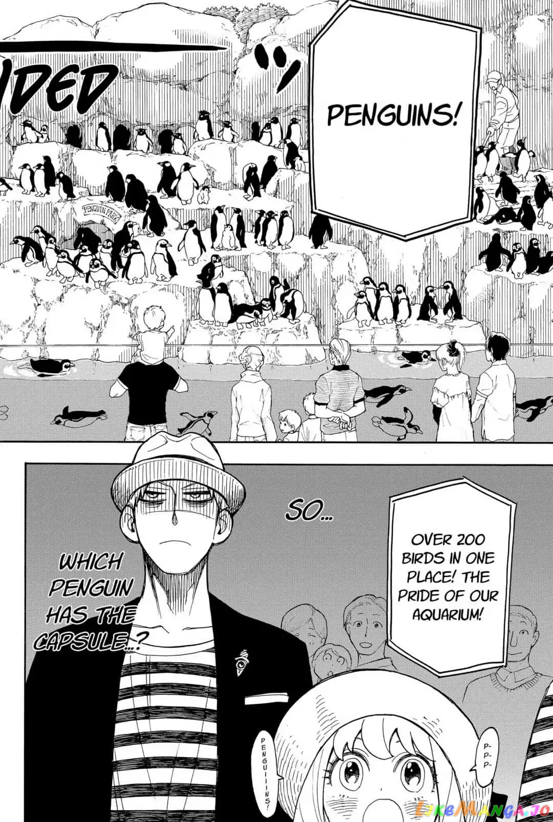 Read Spy X Family Manga Online