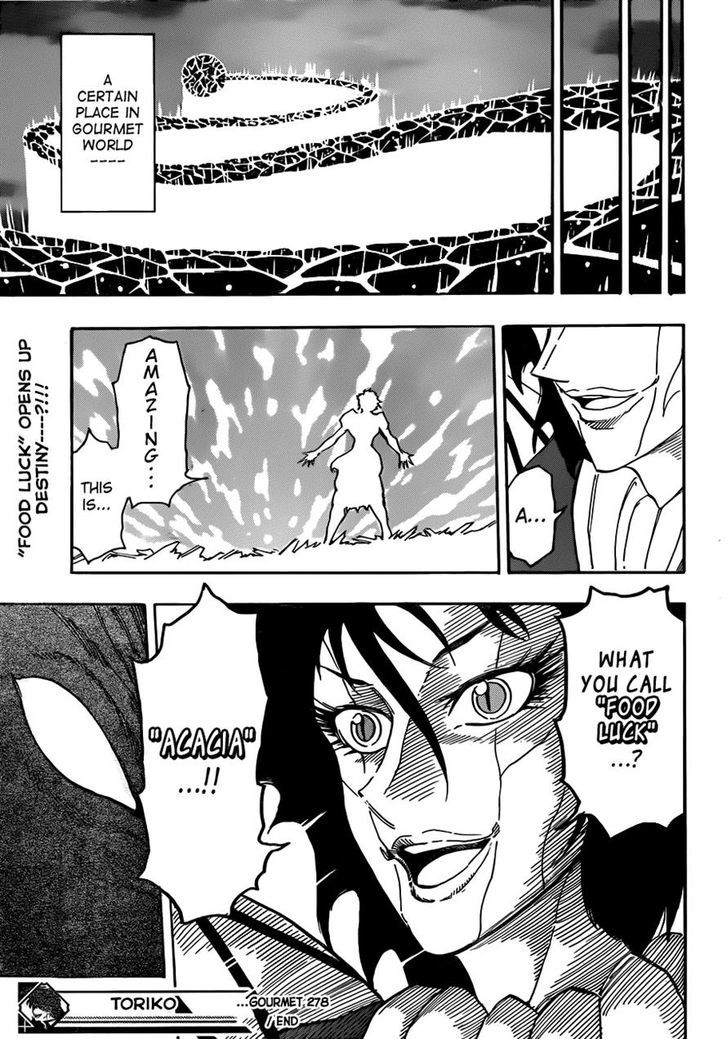 Read Toriko Manga Online