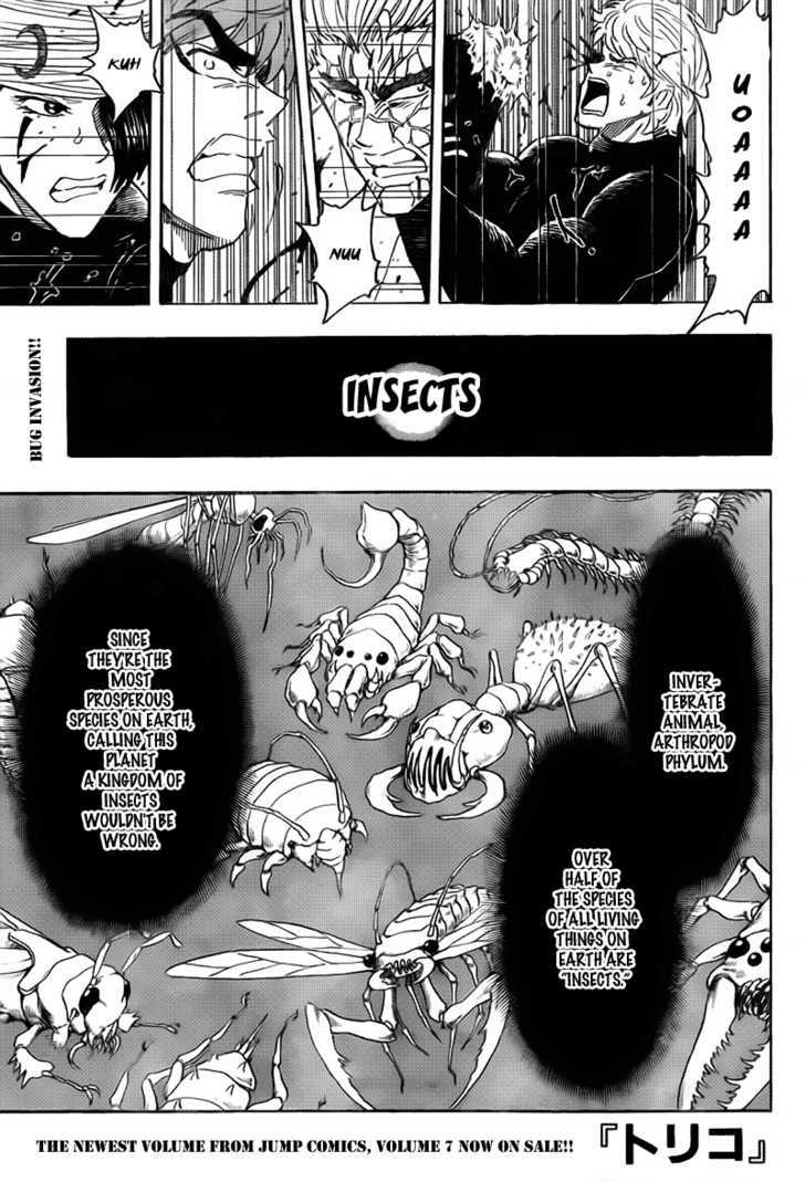 Read Toriko Manga Online