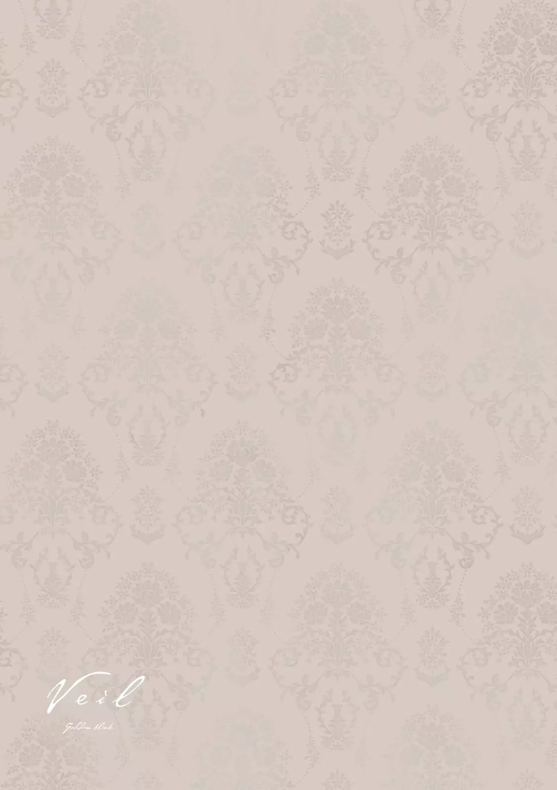 Read Veil Manga Online