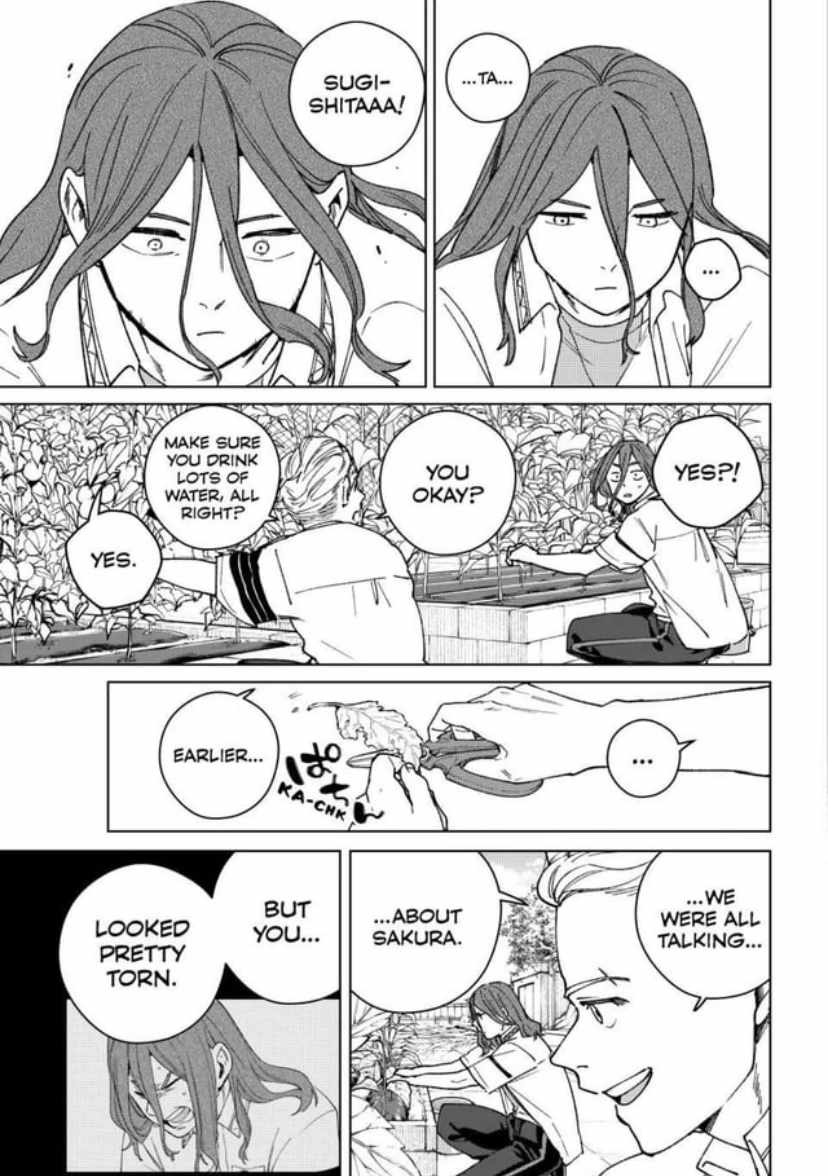 Read Wind Breaker Japan Manga Online
