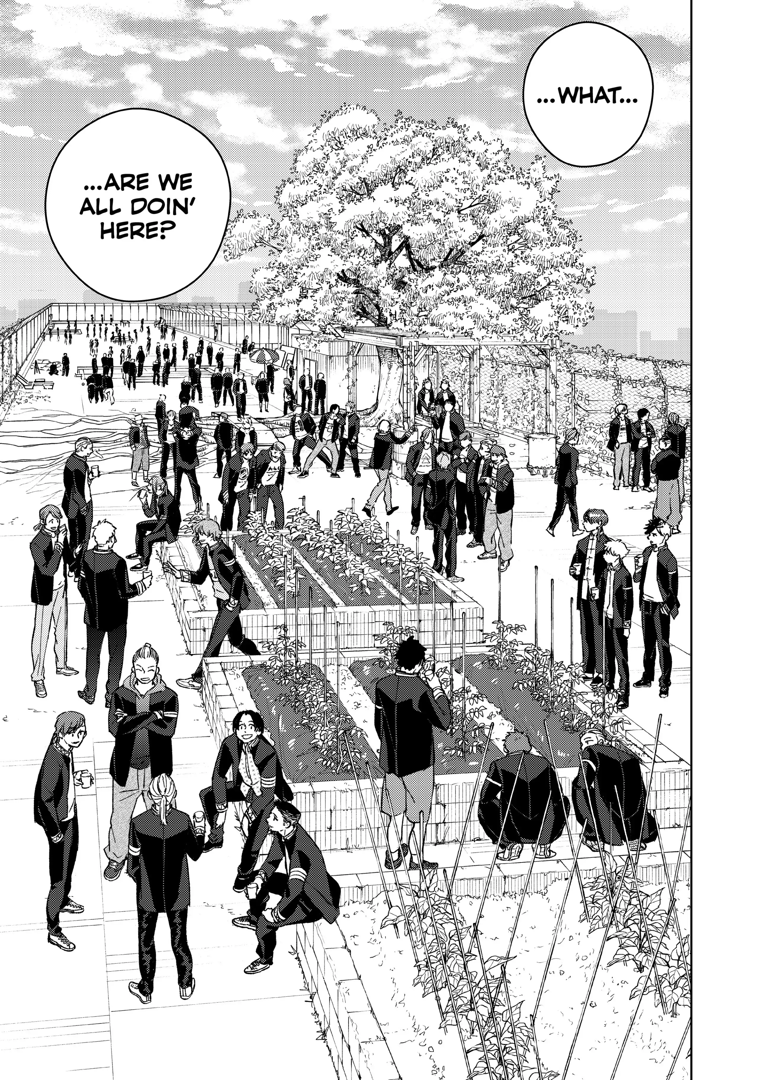 Read Wind Breaker Manga Online