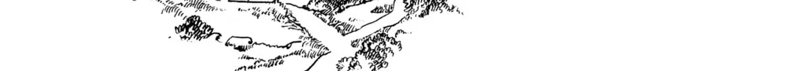 Read Witch Hat Atelier Manga Online