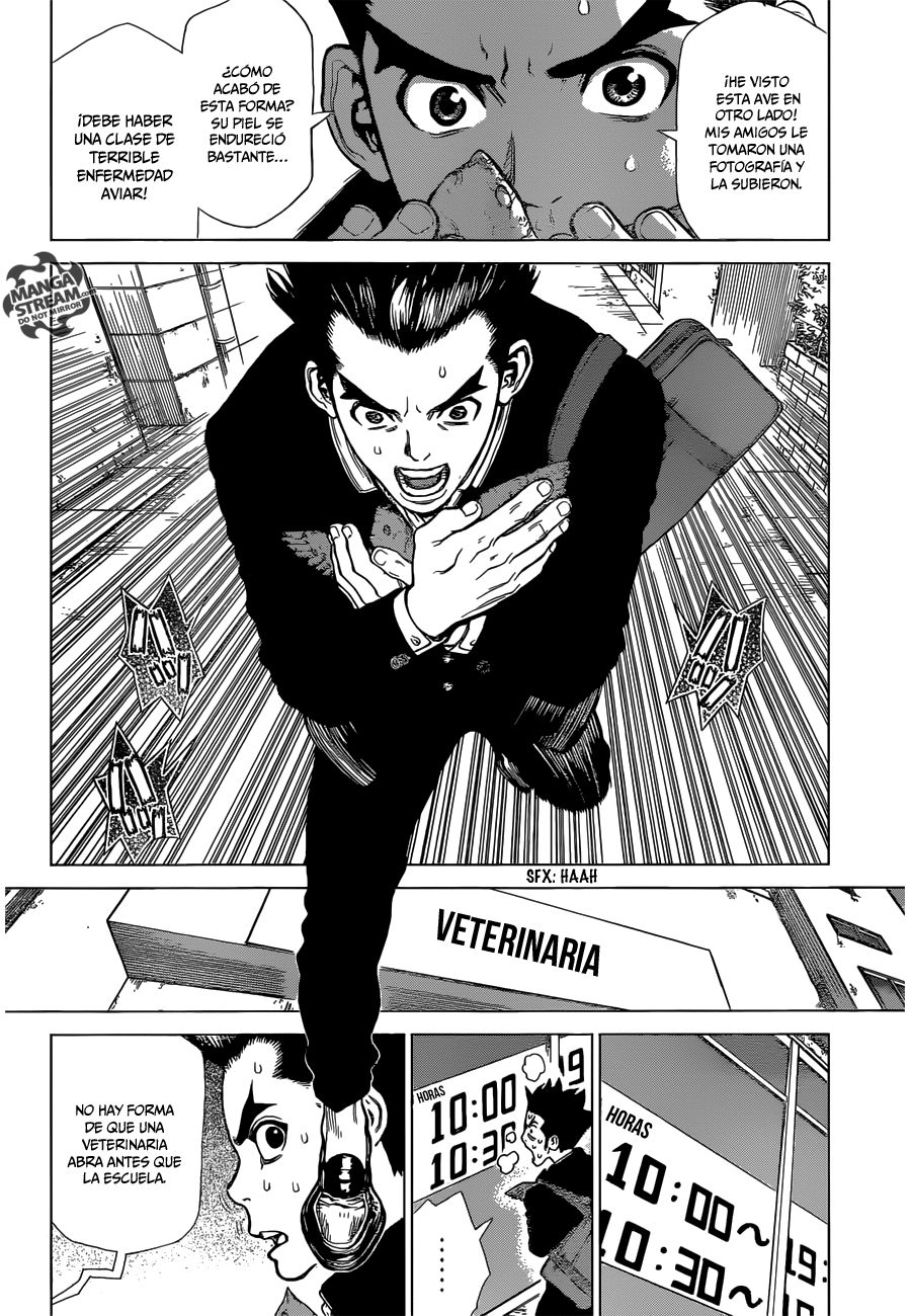 Read Dr Stone ES Manga Online