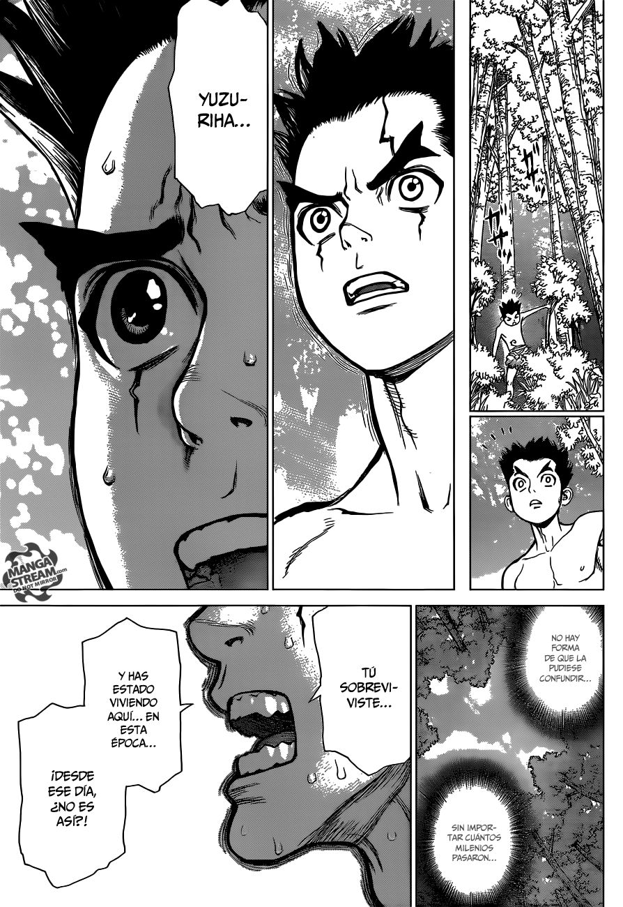Read Dr Stone ES Manga Online
