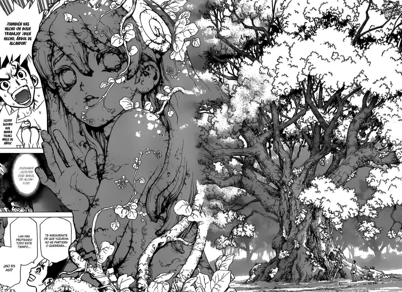 Read Dr Stone ES Manga Online