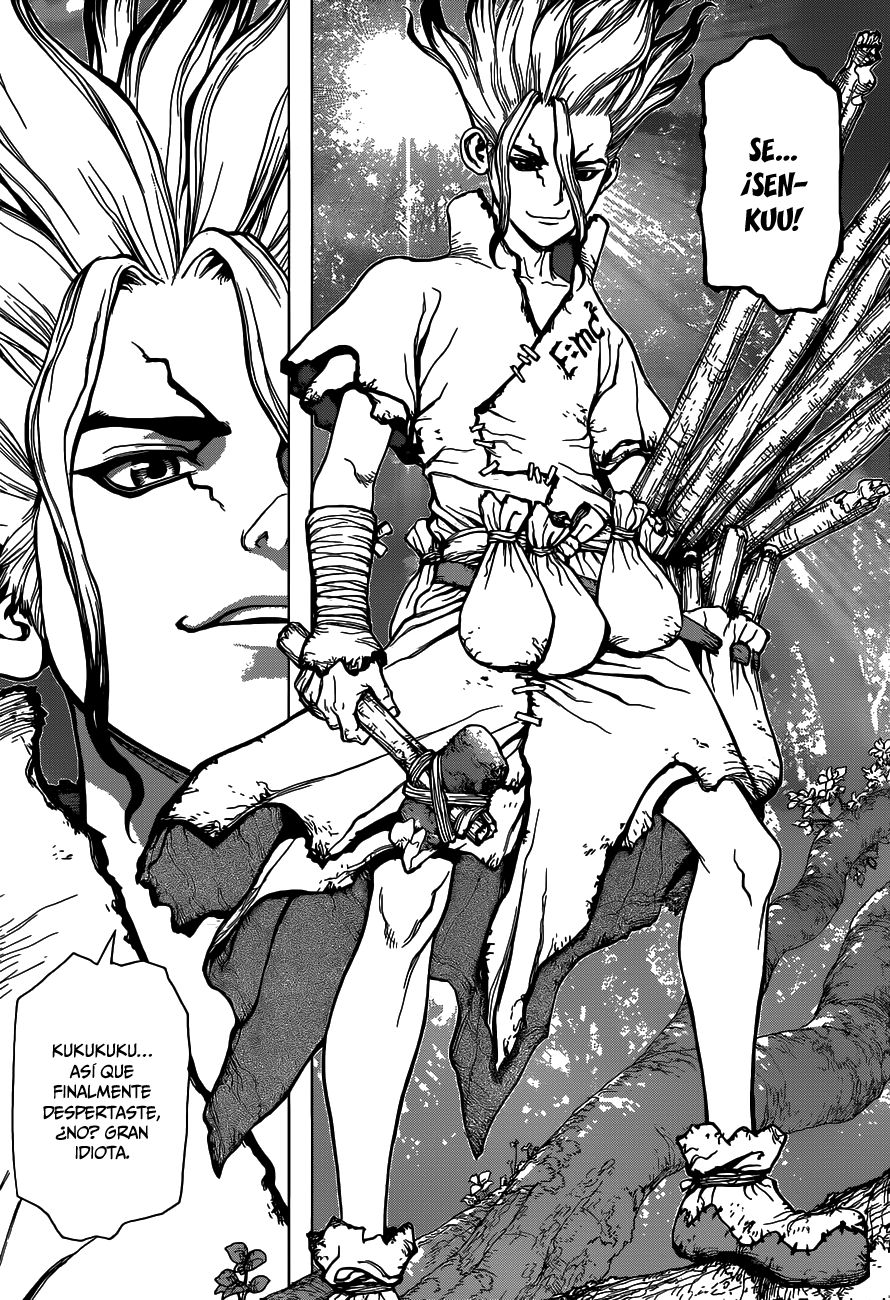Read Dr Stone ES Manga Online